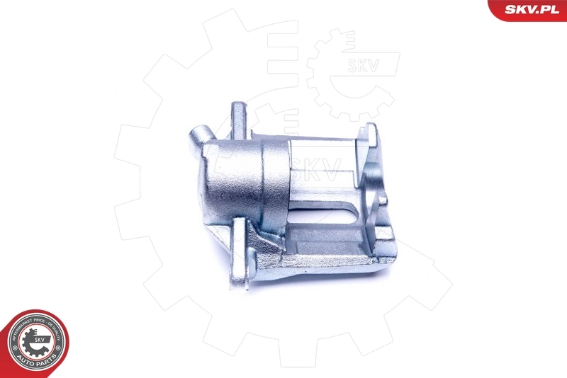 Brake Caliper 44SKV012