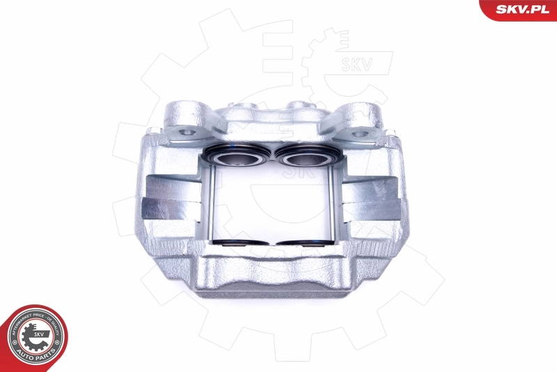 Brake Caliper 50SKV522