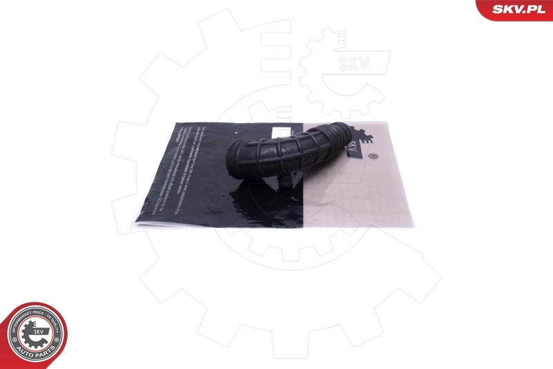 Intake Hose, air filter 43SKV929