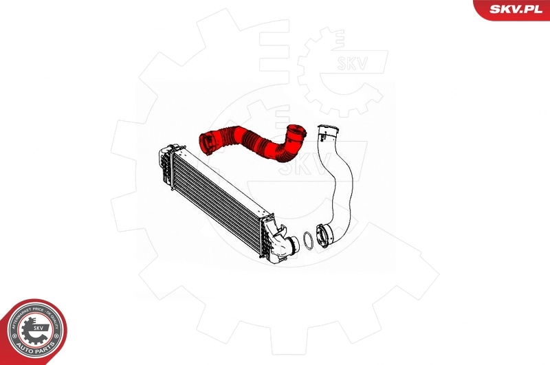 Charge Air Hose 43SKV397