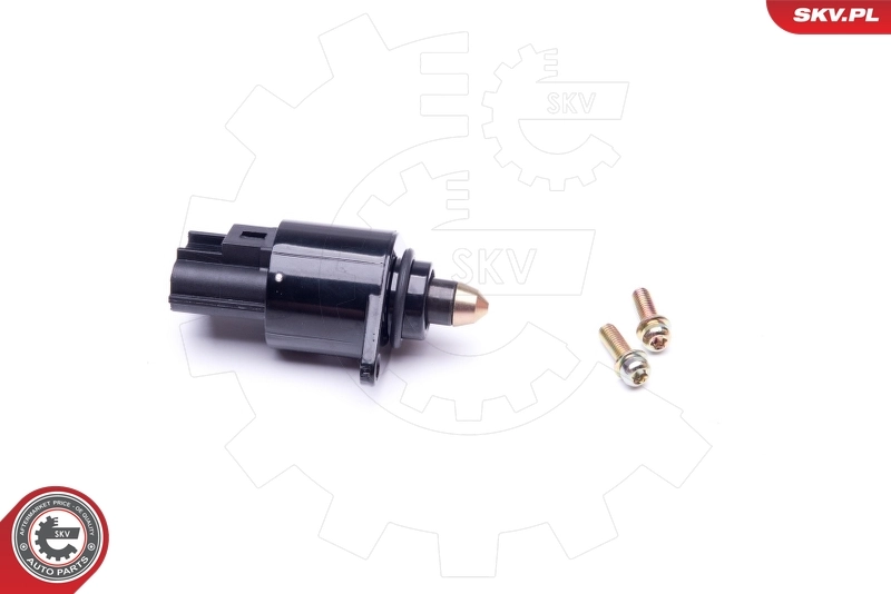 ESEN SKV 08SKV048 Idle Control Valve, air supply