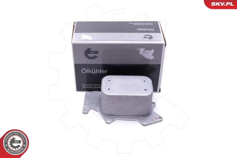 Oil Cooler, engine oil 31SKV212