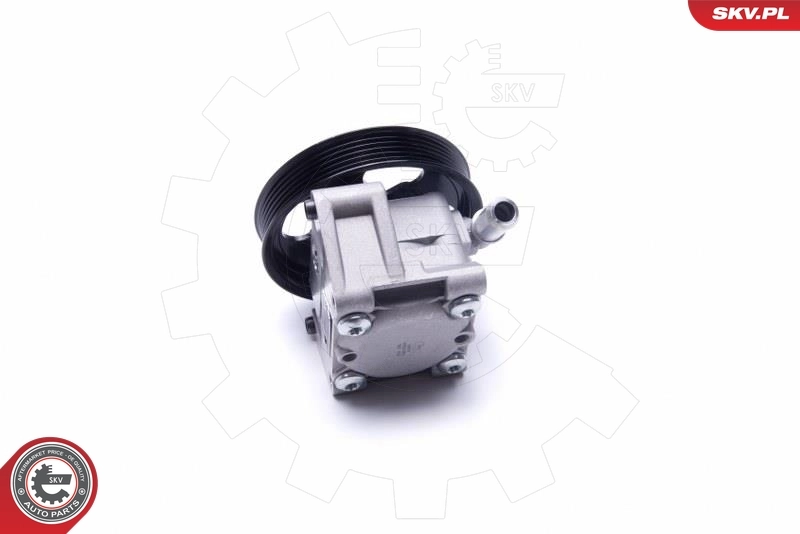 Hydraulic Pump, steering 10SKV304