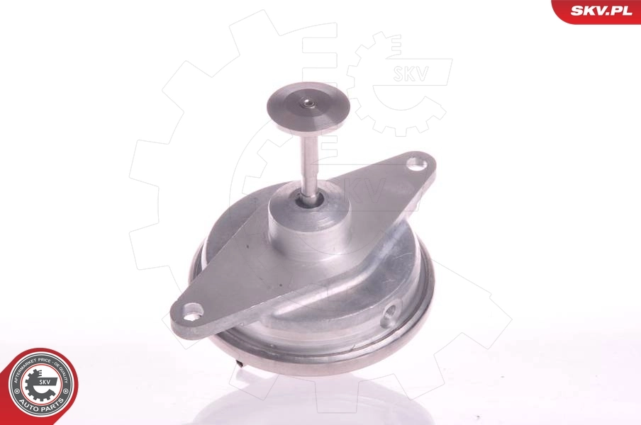 EGR Valve 14SKV022