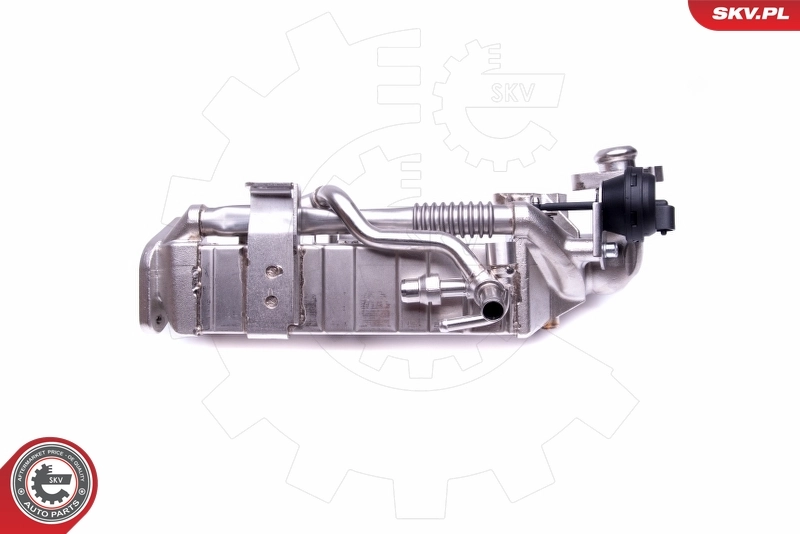 Cooler, exhaust gas recirculation 14SKV228