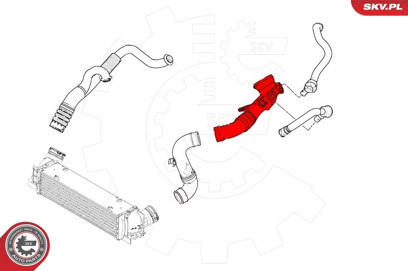 Charge Air Hose 43SKV325