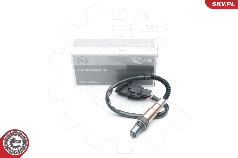 Oxygen Sensor 09SKV869