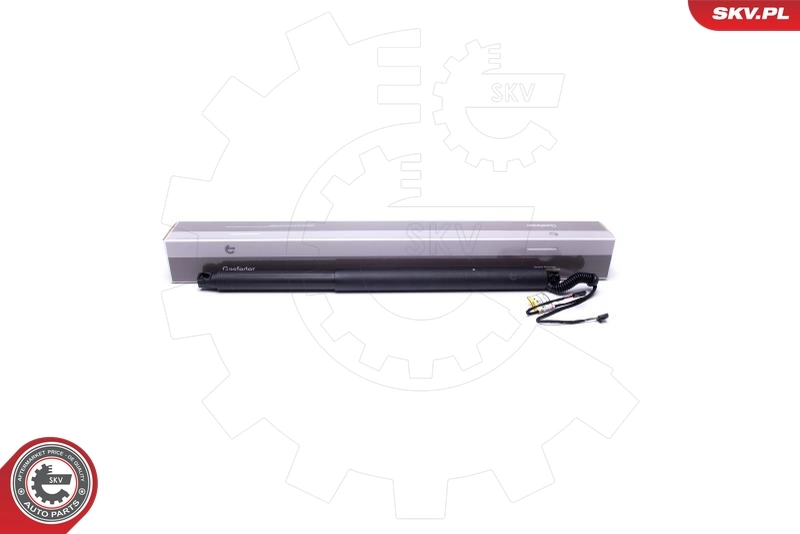 Electric Motor, tailgate 52SKV942