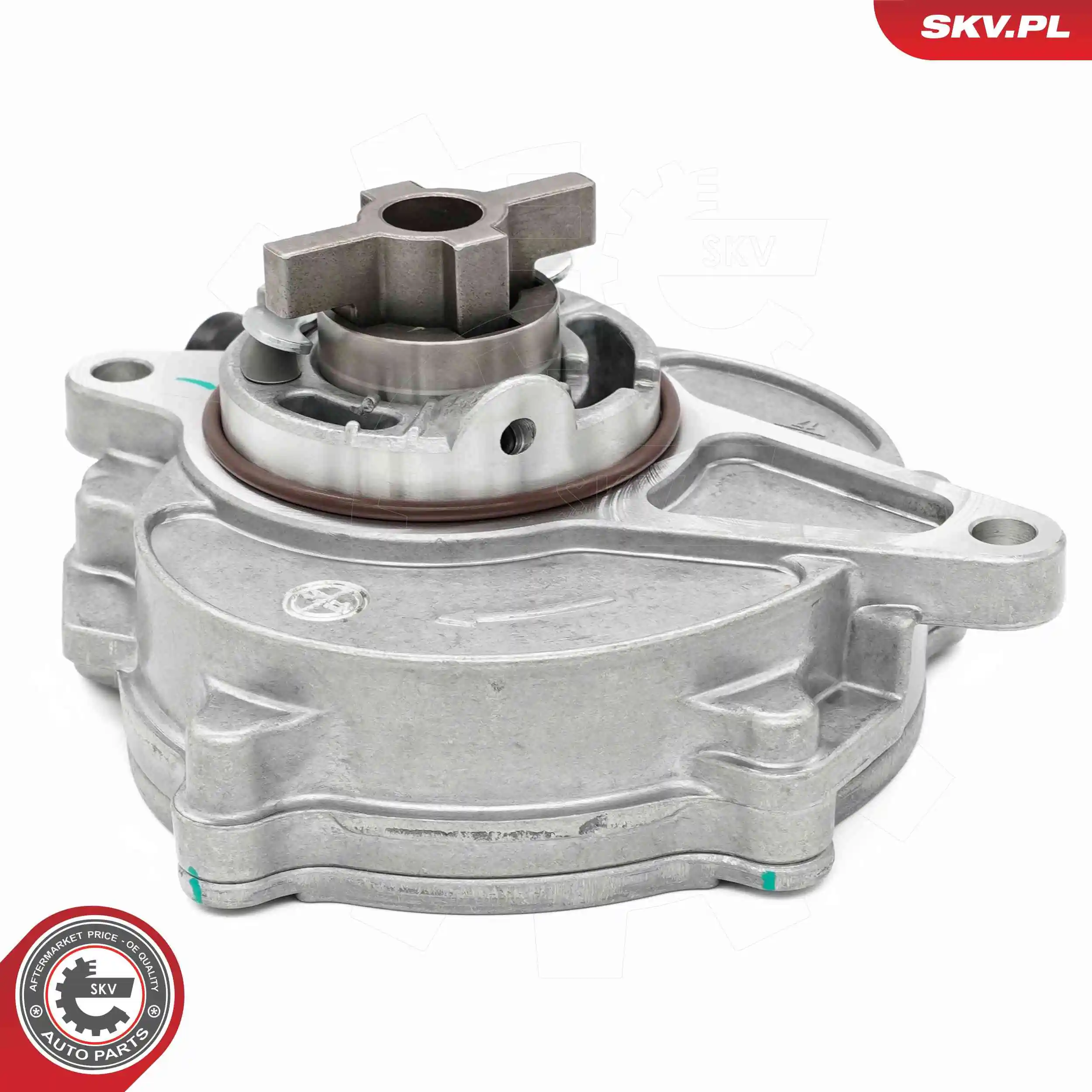Vacuum Pump, braking system 18SKV075