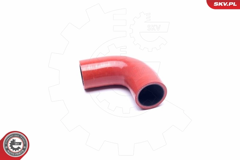 Charge Air Hose 54SKV159