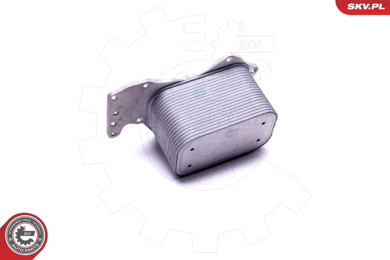 Oil Cooler, engine oil 31SKV212