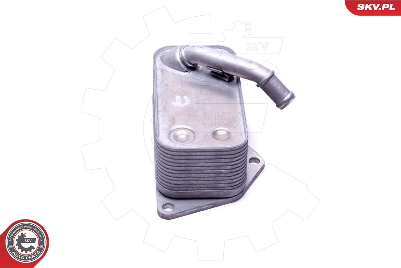 Oil Cooler, engine oil 31SKV224