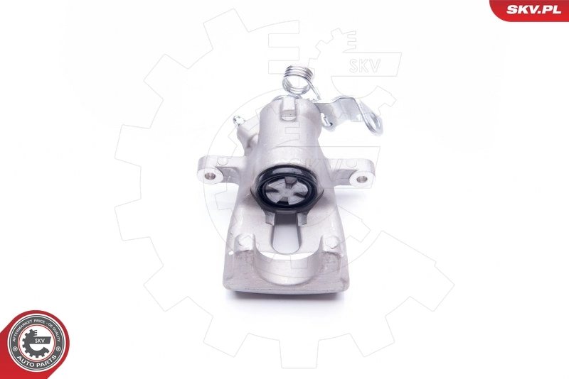 Brake Caliper 34SKV484