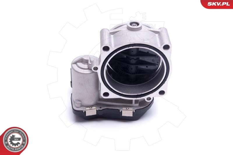 Throttle Body 12SKV115