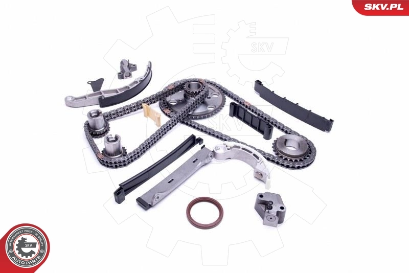 Timing Chain Kit 21SKV203