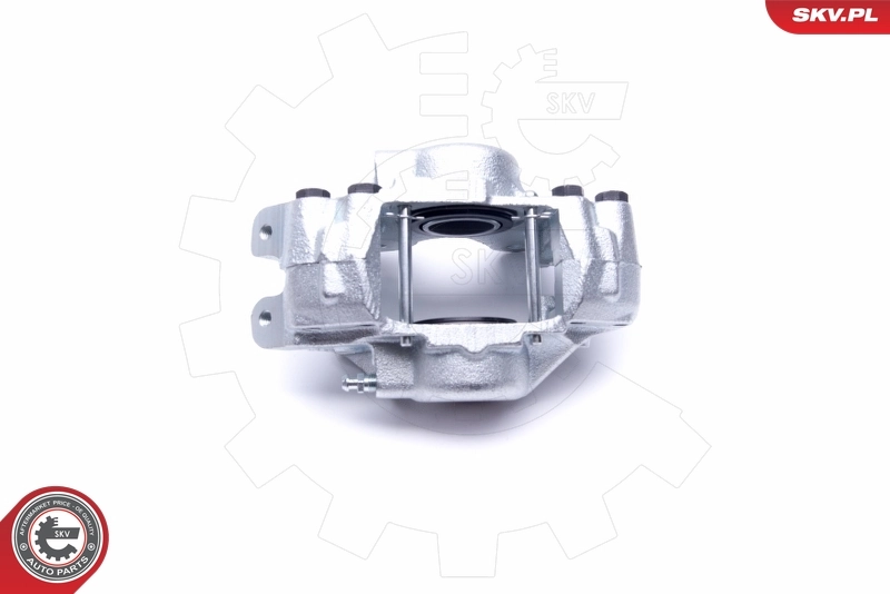 Brake Caliper 46SKV024