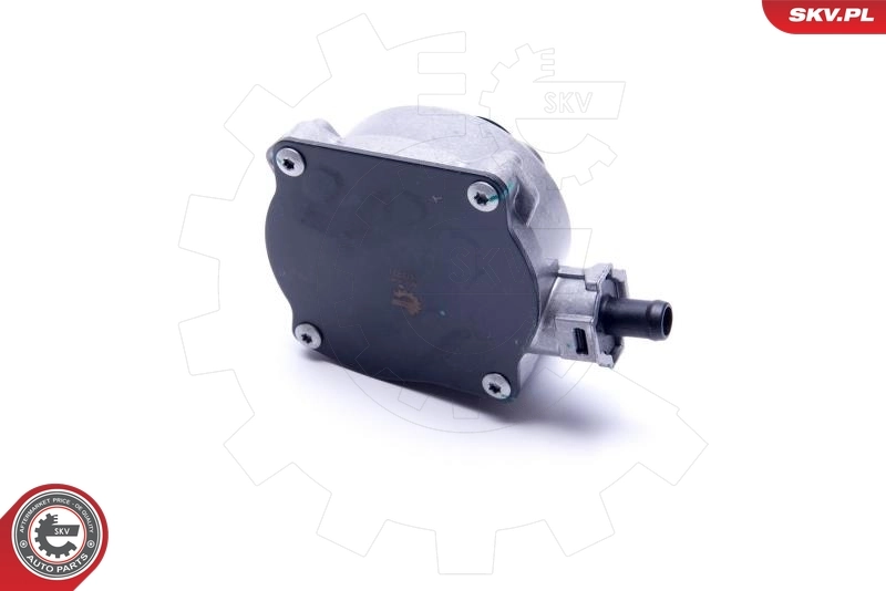 Vacuum Pump, braking system 18SKV045
