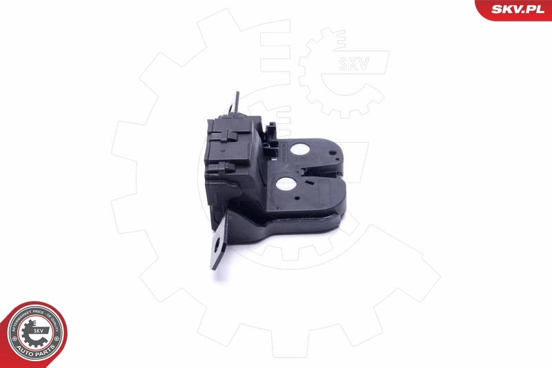 Tailgate Lock 16SKV374