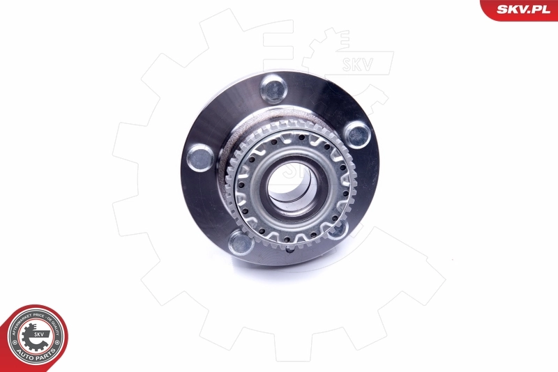 Wheel Bearing Kit 29SKV199