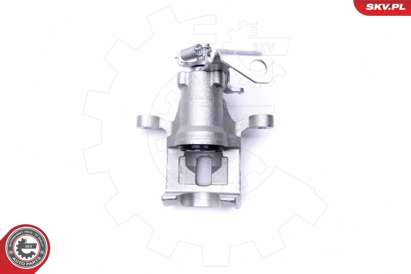 Brake Caliper 46SKV913