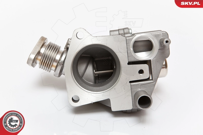 EGR Valve 14SKV063