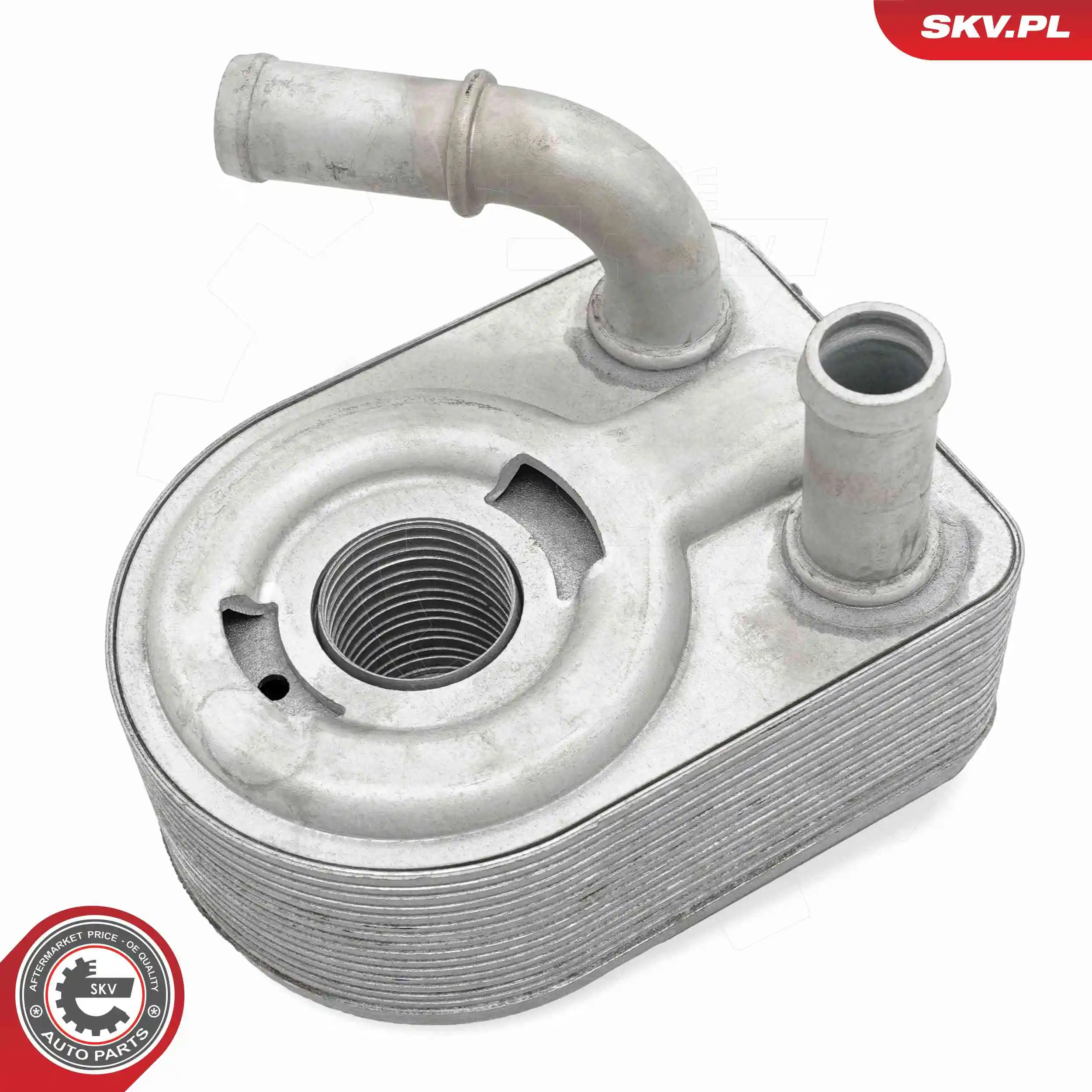 Oil Cooler, engine oil 31SKV303