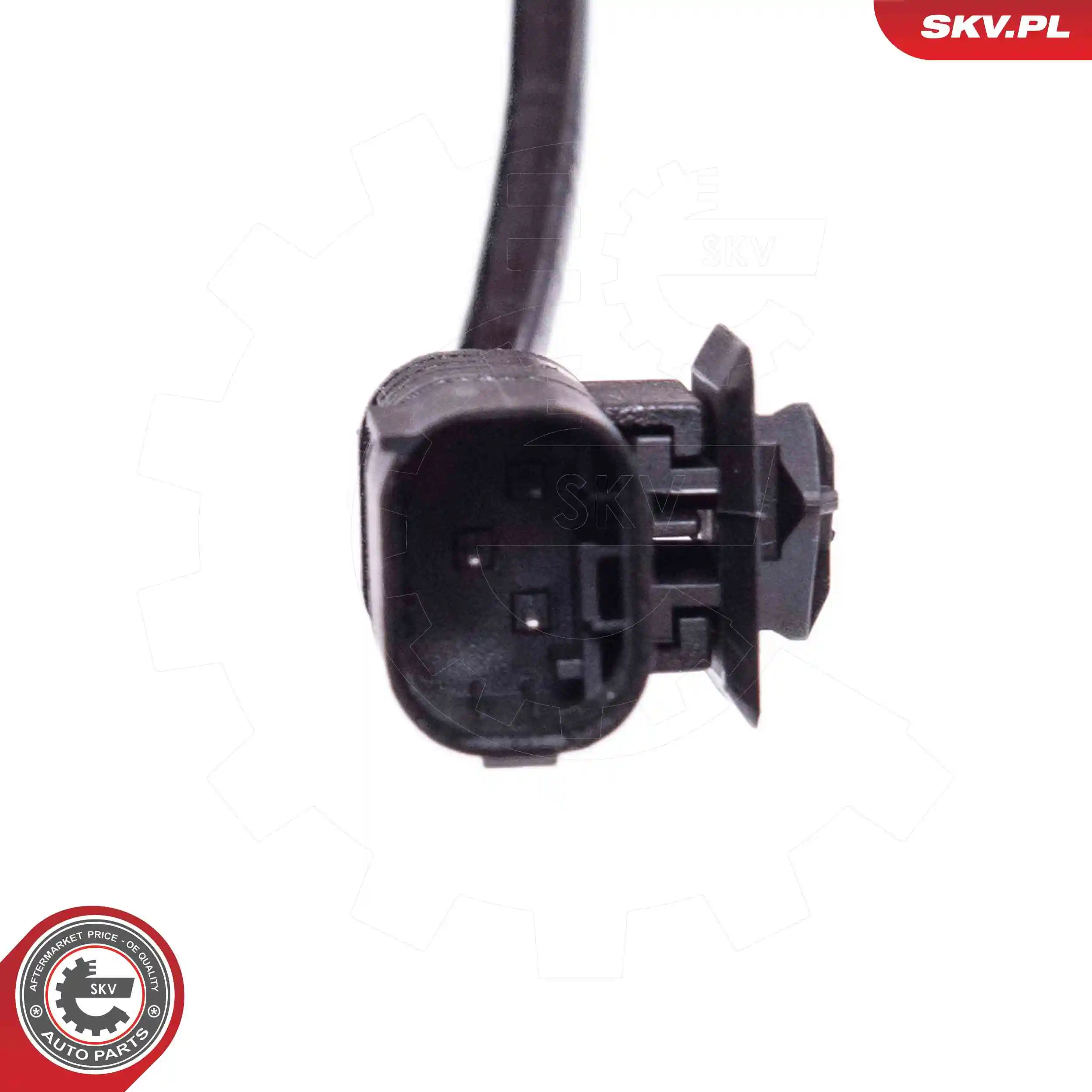 Air Suspension Strut 58SKV715