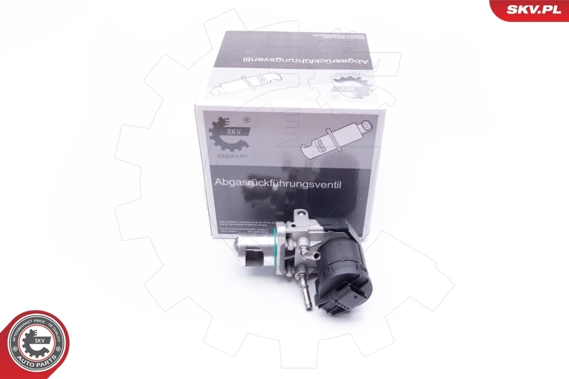 EGR Valve 14SKV169