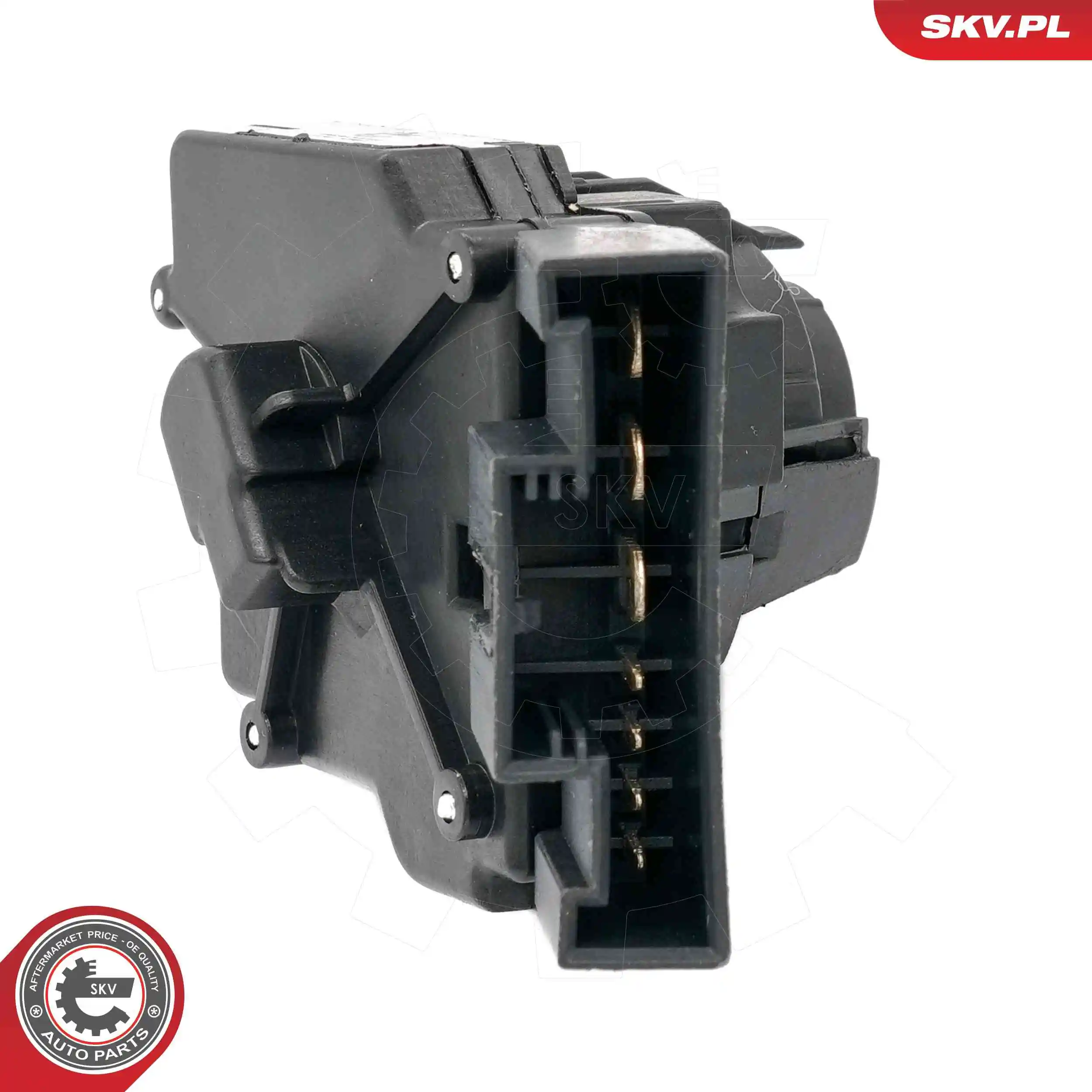 Ignition Switch 65SKV019