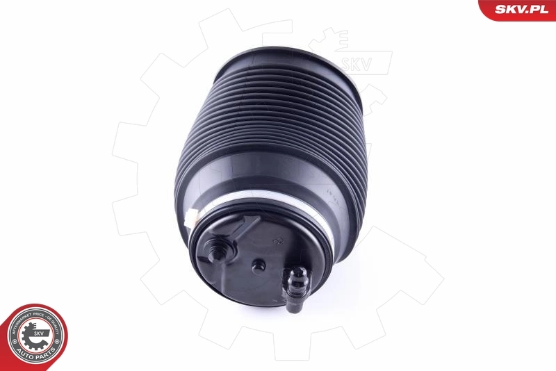 Air Spring, suspension 58SKV006