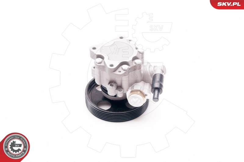 Hydraulic Pump, steering 10SKV197