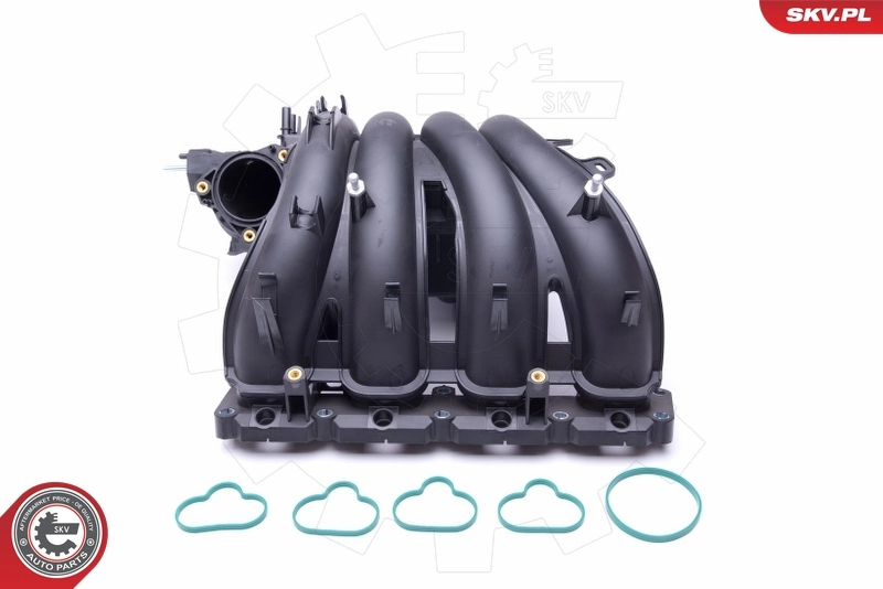 ESEN SKV 49SKV043 Intake Manifold Module