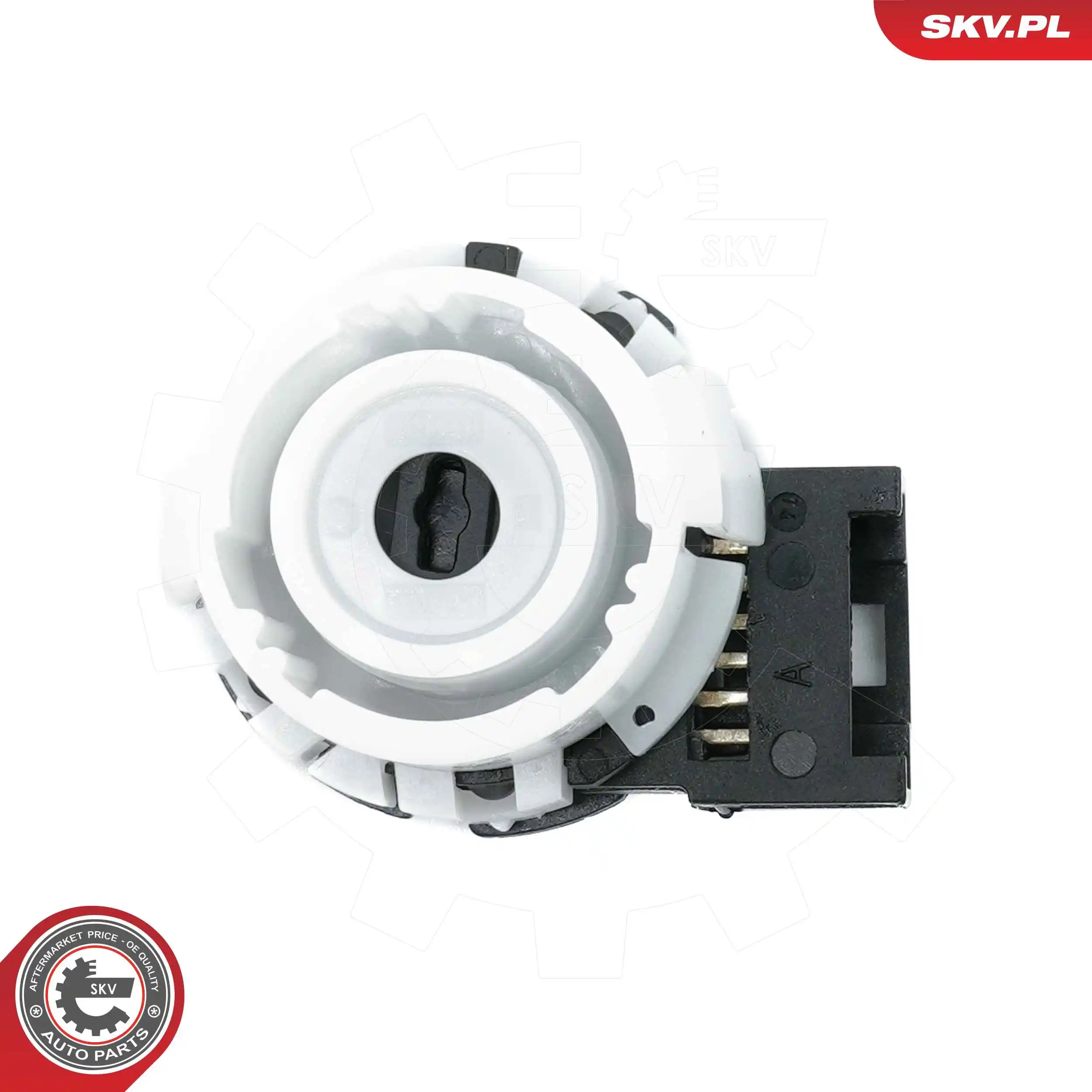 Ignition Switch 65SKV041