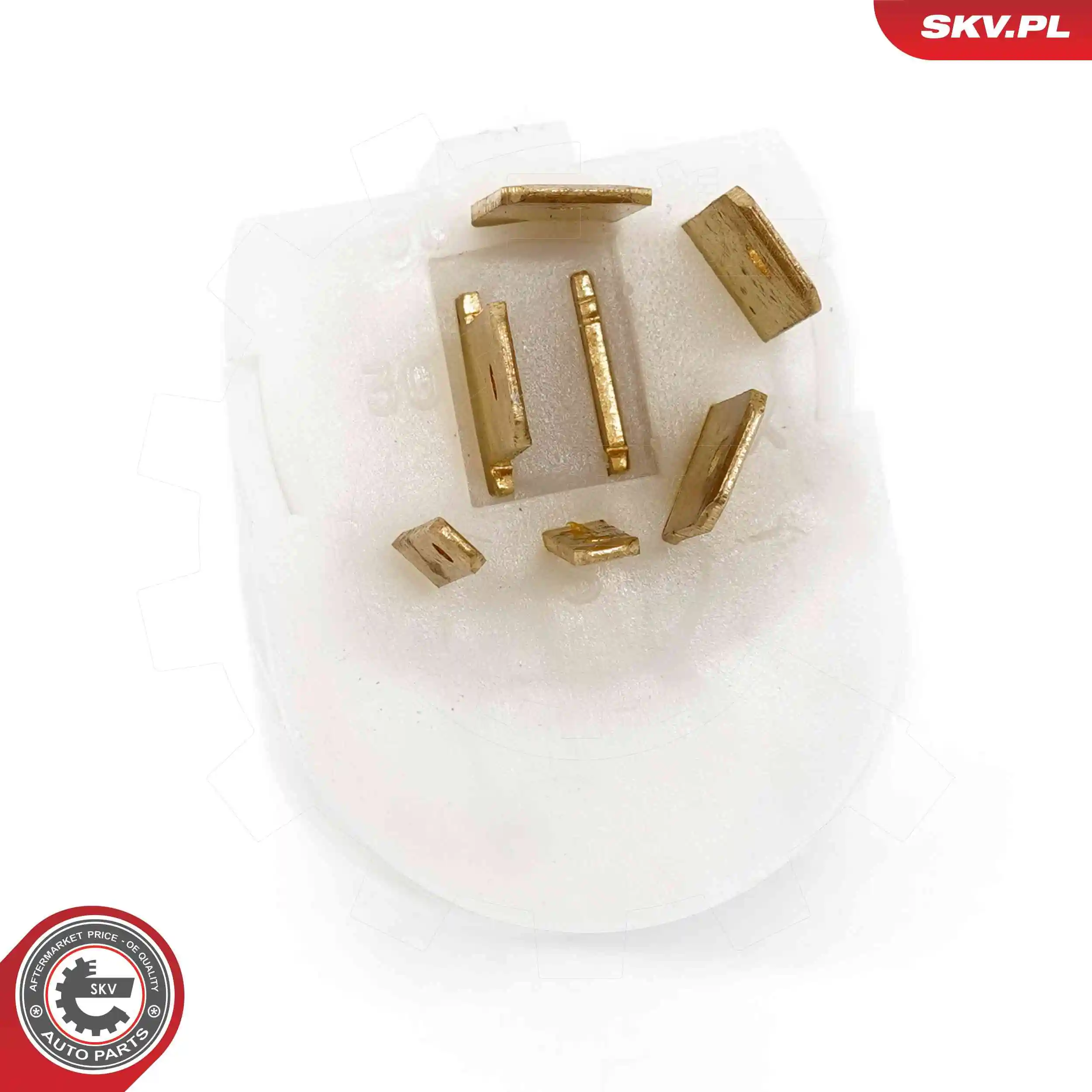 Ignition Switch 65SKV016