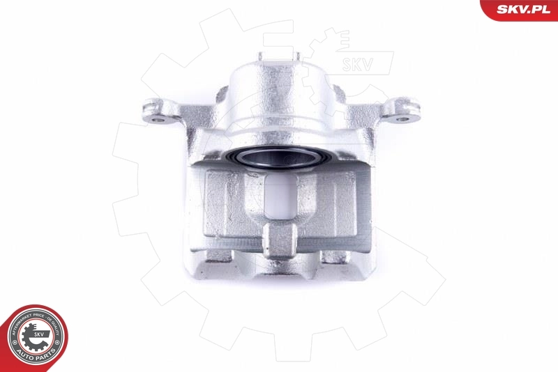 Brake Caliper 46SKV902