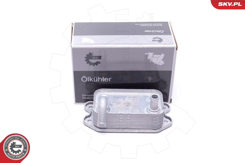 Oil Cooler, engine oil 31SKV227