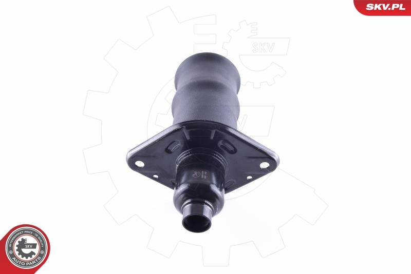 Air Spring, suspension 58SKV041