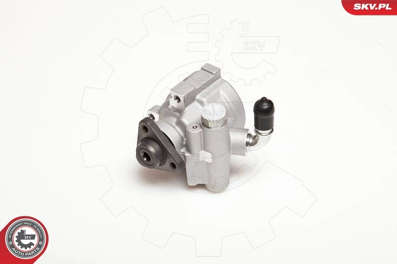 Hydraulic Pump, steering 10SKV003