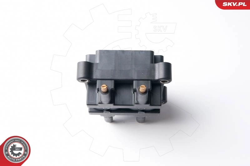 Ignition Coil 03SKV238