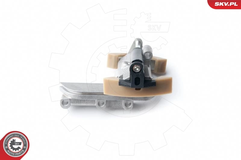 Timing Chain Kit 21SKV010