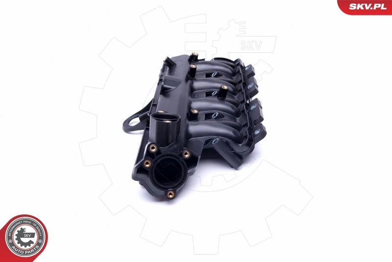 Intake Manifold Module 49SKV038