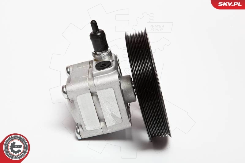 Hydraulic Pump, steering 10SKV074