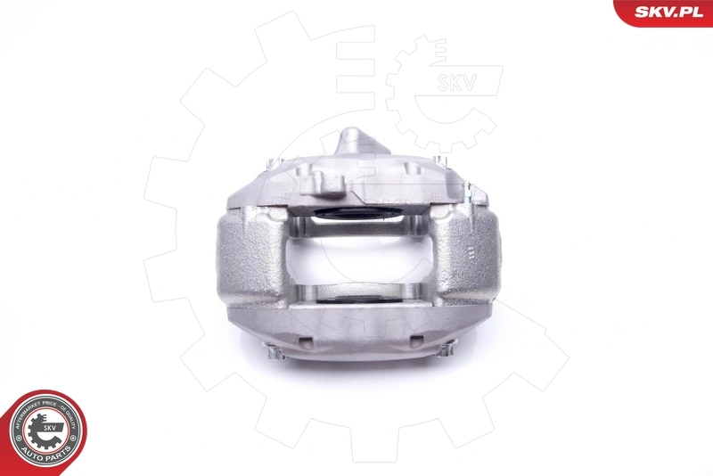Brake Caliper 42SKV452