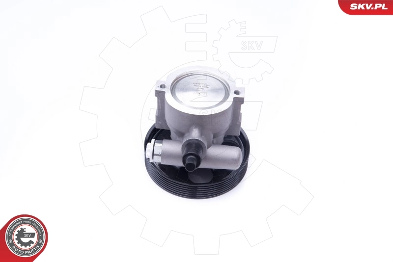 Hydraulic Pump, steering 10SKV281