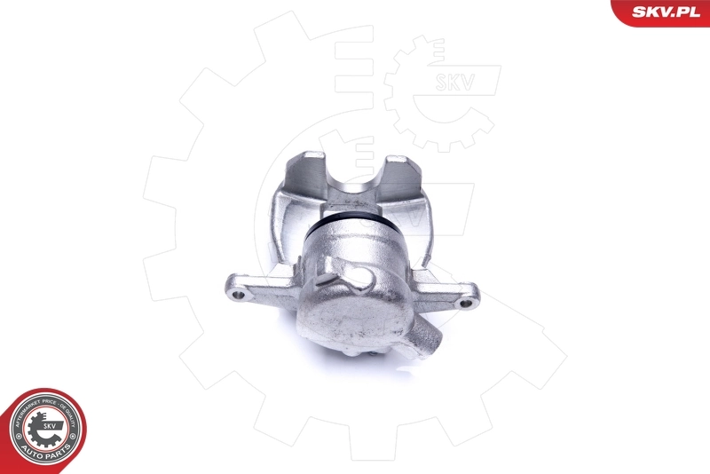 Brake Caliper 44SKV741
