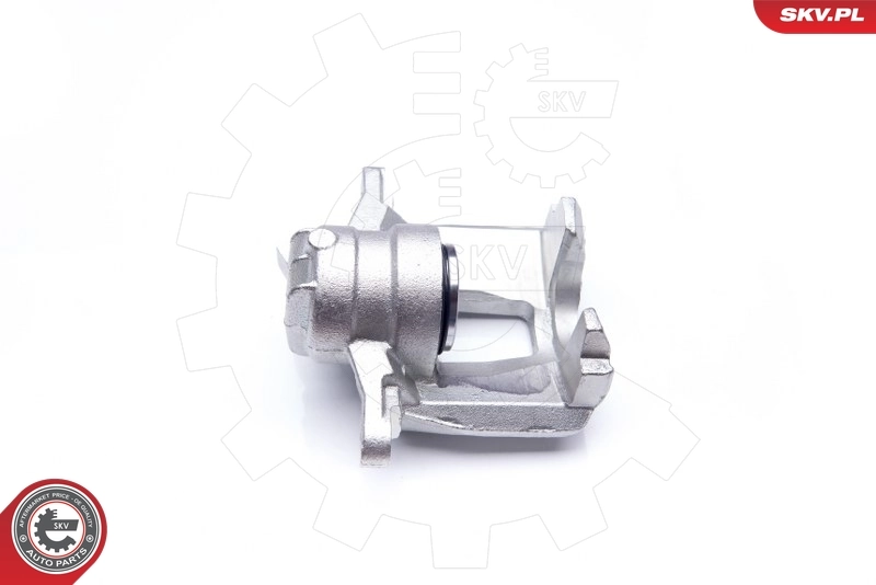 Brake Caliper 23SKV312