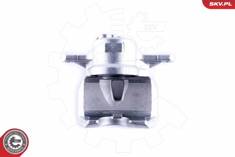 Brake Caliper 55SKV512