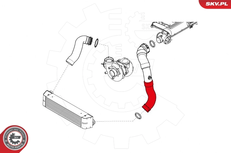 Charge Air Hose 24SKV718