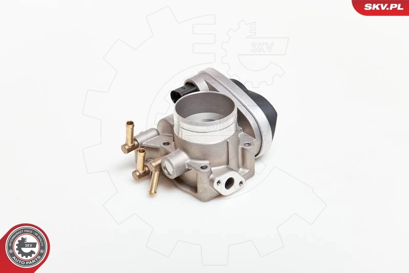 Throttle Body 12SKV027