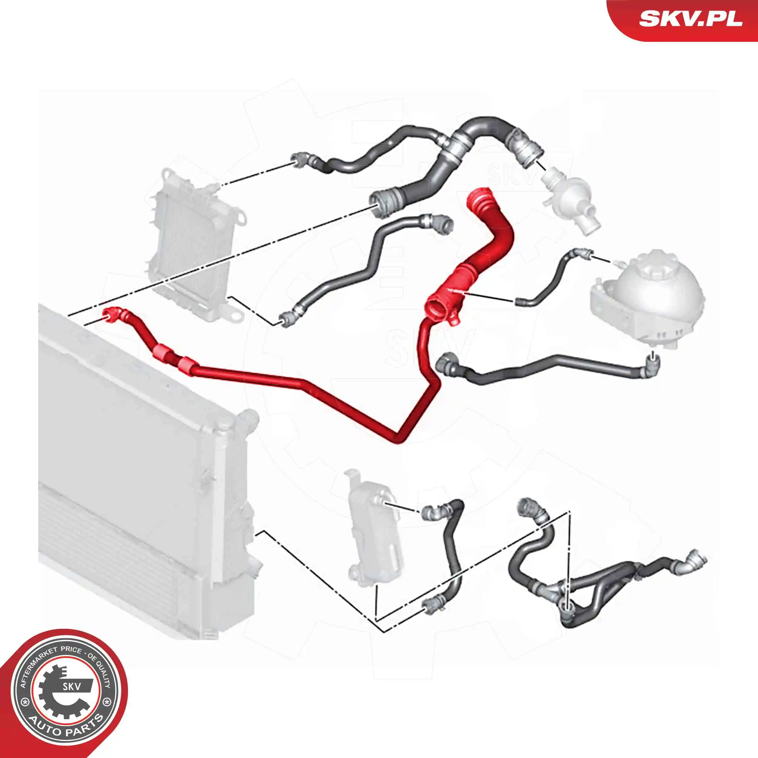 Radiator Hose 54SKV768